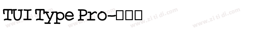 TUI Type Pro字体转换